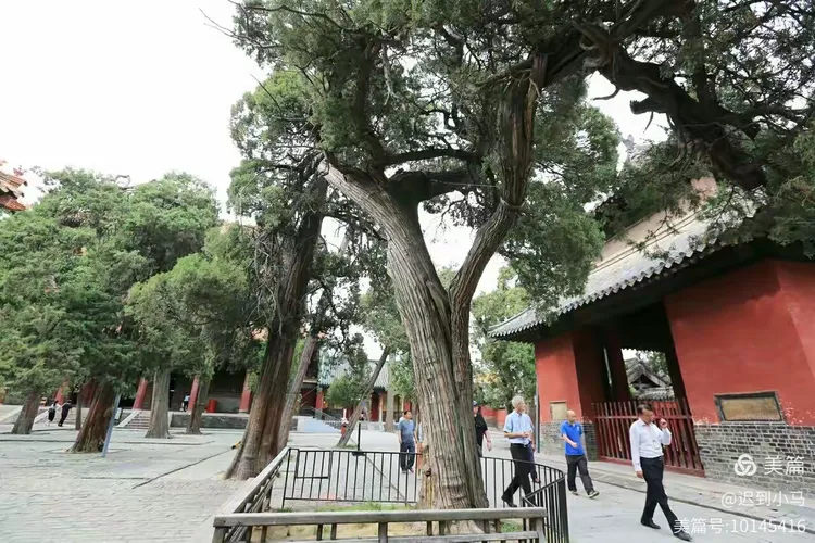 山东曲阜: 孔庙 孔府 孔林